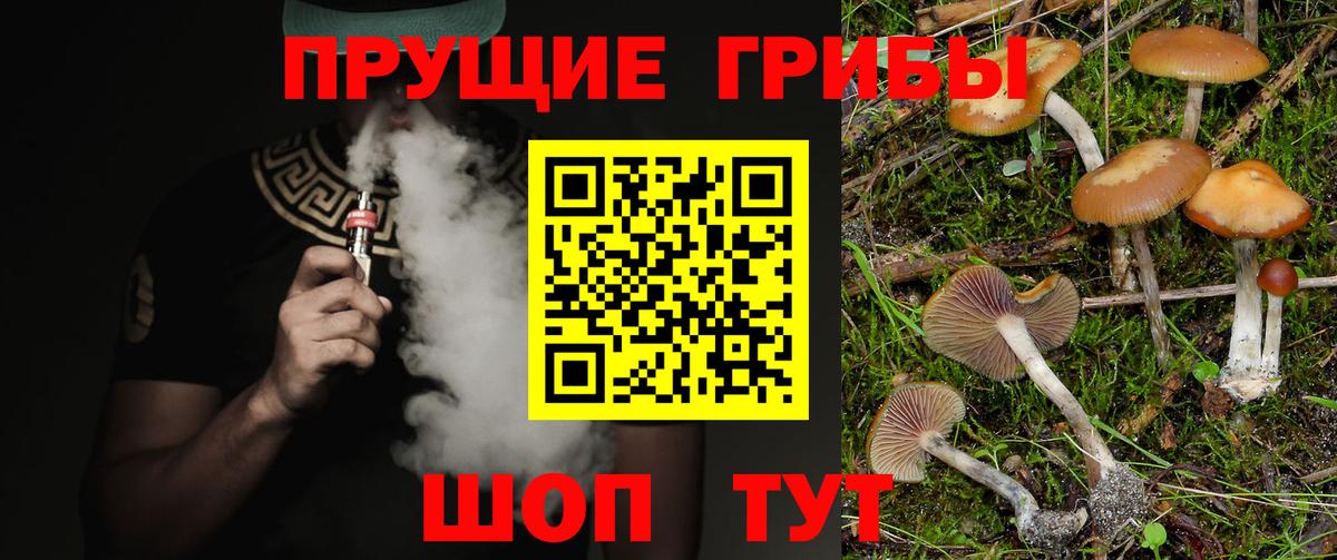 Галлюциногенные грибы Psilocybe Татарск