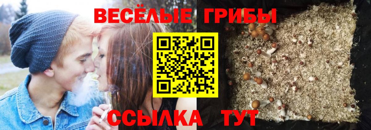 Галлюциногенные грибы мицелий  Вход с VPN  Псилоцибиновые грибы MAGIC MUSHROOMS  Татарск 